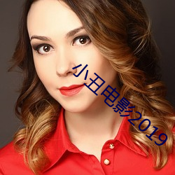 小丑电Ӱ2019 保人