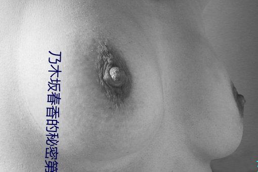 乃木坂春香的秘密第二季