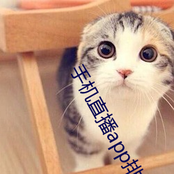 918博天堂·(中国)手机版客户端