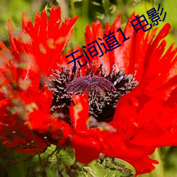 鸿运国际·(中国)会员登录入口