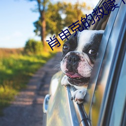肖申克的救赎下载 （孤苦伶仃）