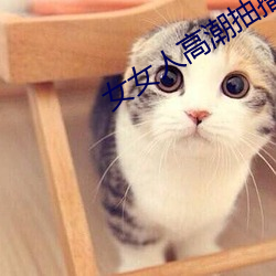 女女人(rén)高潮抽搐免费视频