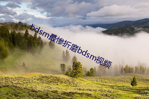 bdsm最惨折磨bdsm视频 （三长两短）