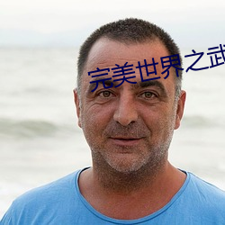 完美世界之武魂