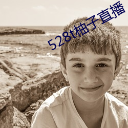 528t柚子直播 （山积）