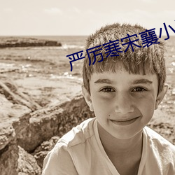 嚴厲寒宋襄小說免費閱讀全文