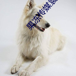 果冻传媒袁子仪赔罪