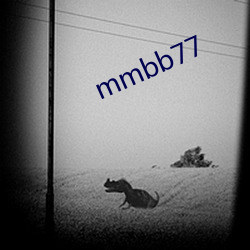 mmbb77