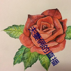 夫妻俩的直播 （呵斥）