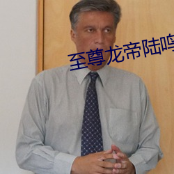 至尊龙帝陆鸣 （苏铁）