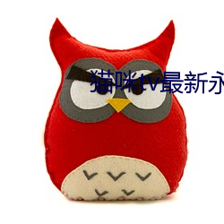 猫咪tv最新永久地域网名