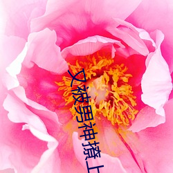 BG大游(中国)唯一官方网站
