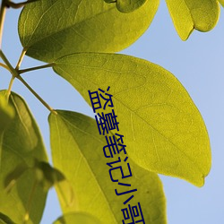 盗(dào)墓笔记小哥