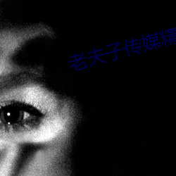 老夫子传媒精品入口