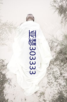亞瑟303333