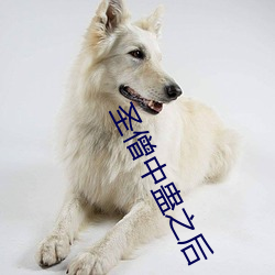 圣僧中蛊之后