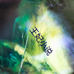 王妃小說