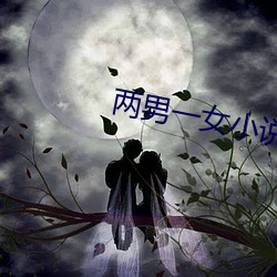 两男一女小说