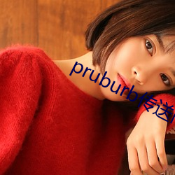 pruburb传送门(mén)