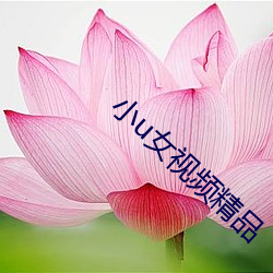 九游会登录j9入口 - 中国官方网站 | 真人游戏第一品牌