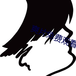 爽片免费观看网站