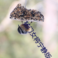 金年会(中国)官方网站