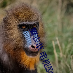 BG大游(中国)唯一官方网站