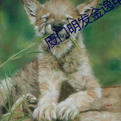 厦门明发金(金)逸电(電)影(影)院