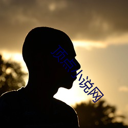 顶点小说网(wǎng)