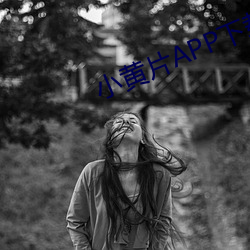 小黄片APP下载(載)