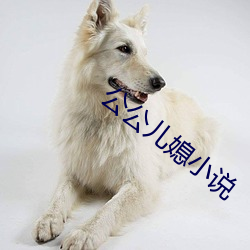公公儿媳小说
