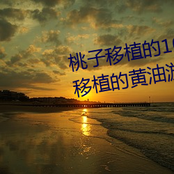 九游会登录j9入口 - 中国官方网站 | 真人游戏第一品牌