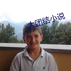 大團結小說