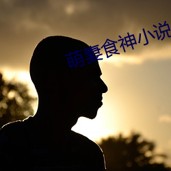 萌妻食神小说(說)