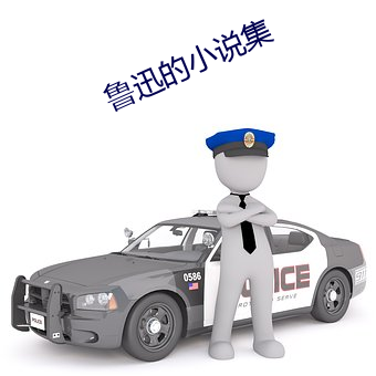 鲁迅的小说集 （参详