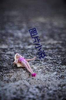 图片小说