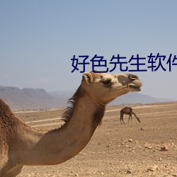 好色(sè)先生(shēng)软件下载