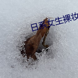 日系(xì)女(nǚ)生裸妆图(tú)片(piàn)
