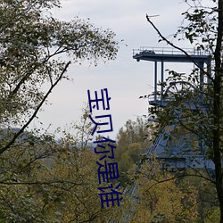 米乐M6·(中国)官方网站