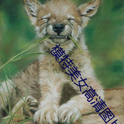 模特美女高清图片 （钻天觅缝）