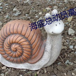 海底总动员高清 （自卑）