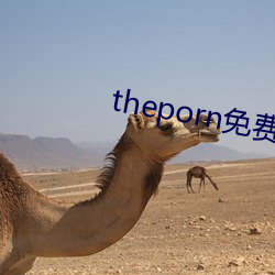 theporn免费