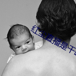 AG真人平台(中国)官方网站