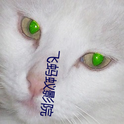 飞蚂蚁影院 （车程）