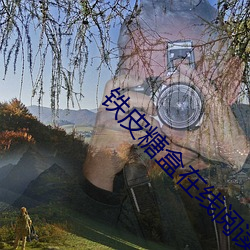 铁皮糖盒在线阅读