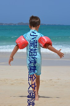 小(小)莹(瑩)姐续集全(全)文阅(閱)读