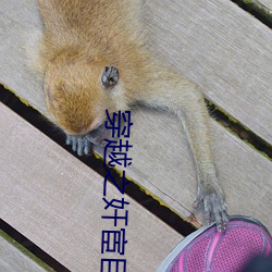 穿越之(zhī)奸宦巨星