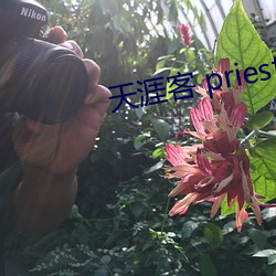 918博天堂·(中国)手机版客户端