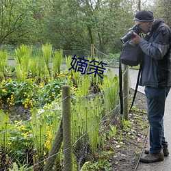 明日策 （消耗）