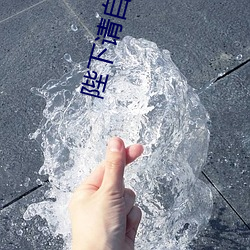 陛下请自重